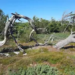 6 Person In Thisted-by Traum Torsted (Nordjylland)