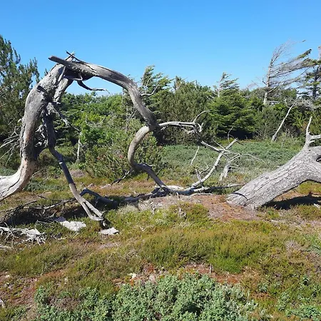 6 Person In Thisted-by Traum * Torsted (Nordjylland)