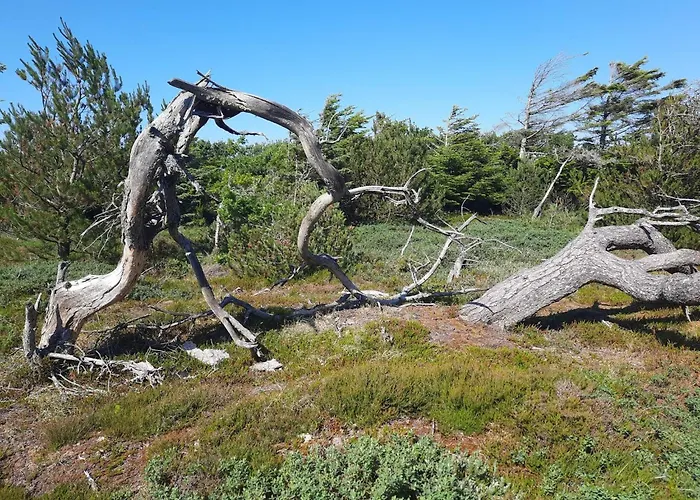 6 Person In Thisted-by Traum Torsted (Nordjylland)